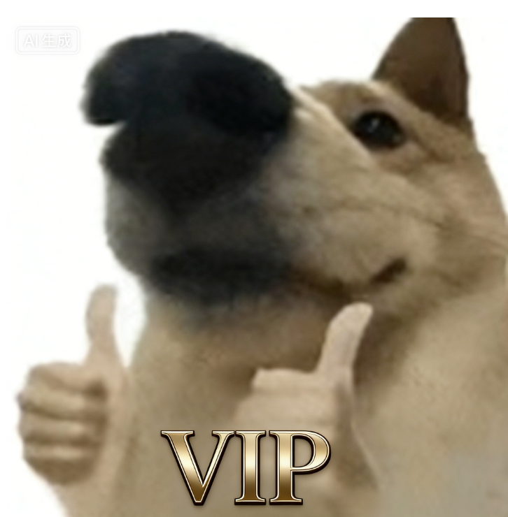 MaJY XX-07 VIP Payment Gateway Complete Purchases, Pay Differences and Priority Logistics