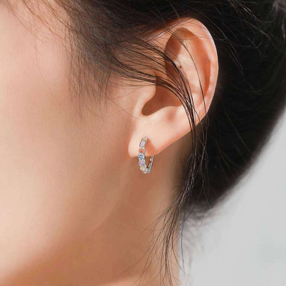 CZ Colorful Zircon Earrings Rainbow Diamond 925 Silver Women's Boutique Jewelry