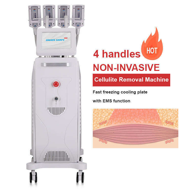 2026 Non-Invasive RF Emslim Cryo 360 Cryolipolysis Plates Criolipolisis Pads Body Sculpting Machine With 4/8 Freezer Plate Body Sculpt