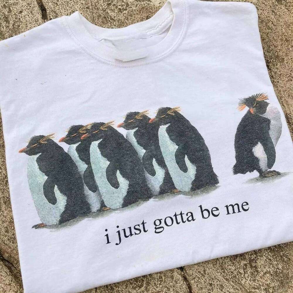 2025 New Cute Summer Little Penguin Oversized Loose Short-sleeved T-shirt with A Niche School Style Tops Tees C260207