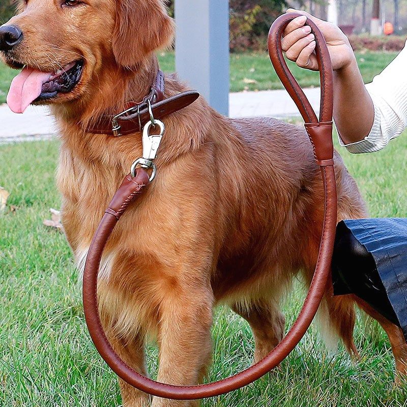 Heavy Duty Dog Collar and Leash Set for Large Breeds Golden Retriever Labrador German Shepherd Adjustable Comfortable PU Leather Walking Gear