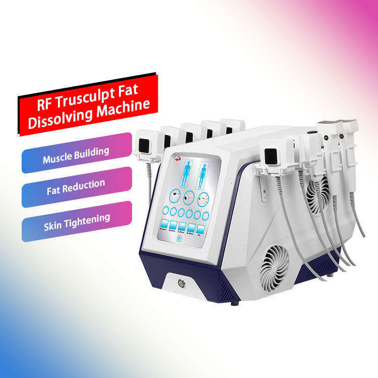 2026 New 10 Handles New Sculpting Body Shaping Machine Rf Fat Burning Mono-Polar Fat Dissolving Machine Rf Machine
