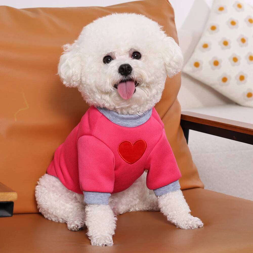 Cat Sweater For Taddy Yorkshire Winter Warm Small Dog Hoodie Love Medium Thickened Cute Puppy Bipedal Clothes Accessories