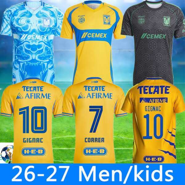 25 26 Tigres De La … - image