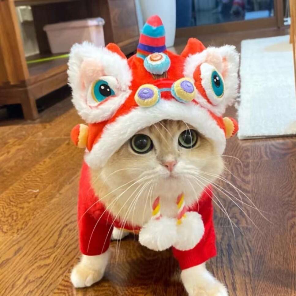 Autumn And Winter Warm Pet Funny New Year Transformation Tiger Head Dog Hat Headwear Cat Supplies Wholesale