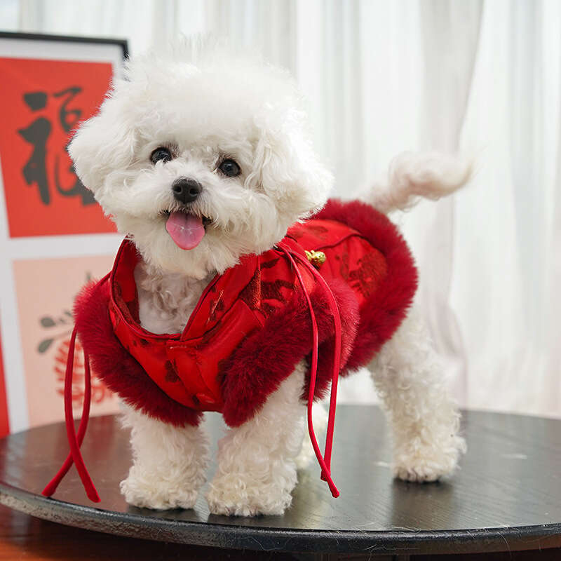Year Of The Horse New Chinese Style Hairless Pet Fleece Dog Cat Autumn Winter Clothing Accessories Wholesale clothes