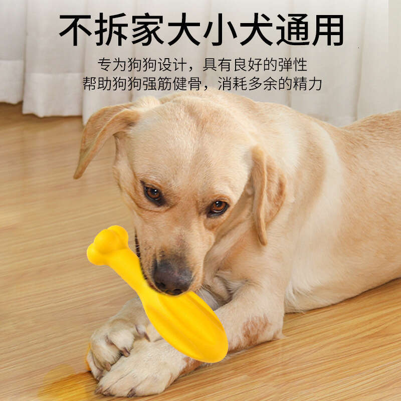 Durable Dog Rubber Bone Toy High-Elastic Chew & Teething Toy for All Breeds, Helps Clean Teeth & Burn Energy