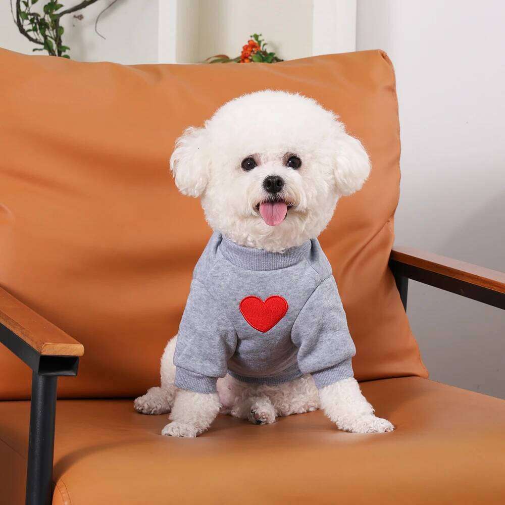Cat Sweater For Taddy Yorkshire Winter Warm Small Dog Hoodie Love Medium Thickened Cute Puppy Bipedal Clothes Accessories