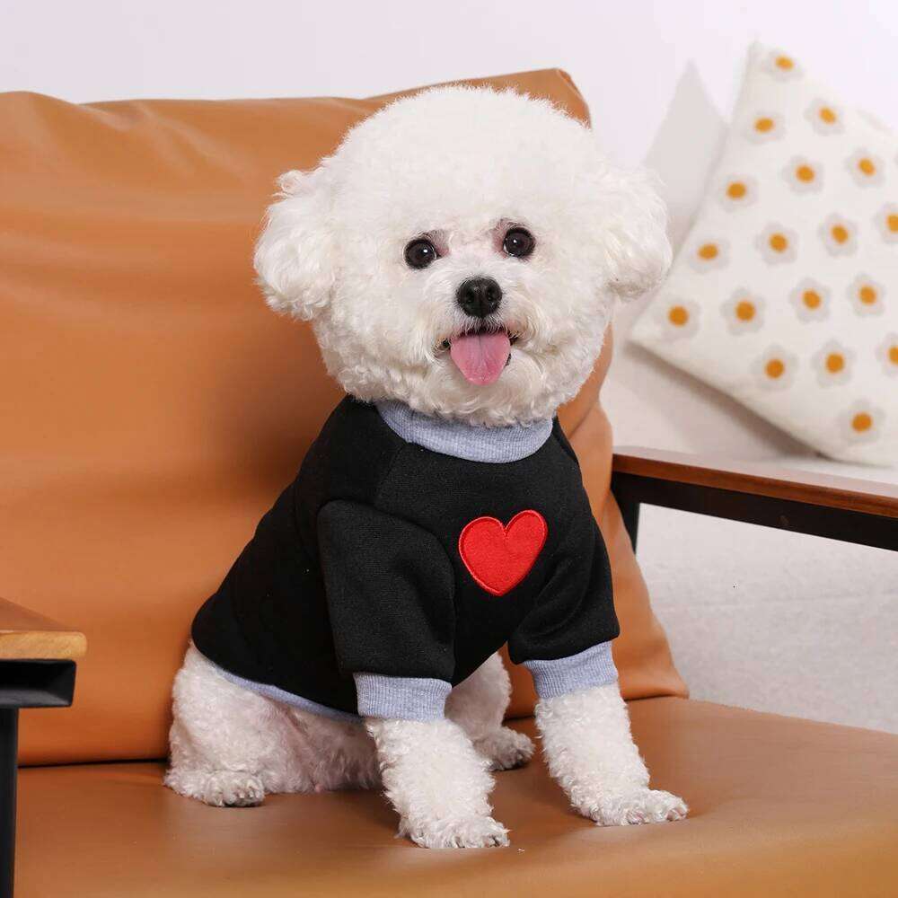 Cat Sweater For Taddy Yorkshire Winter Warm Small Dog Hoodie Love Medium Thickened Cute Puppy Bipedal Clothes Accessories
