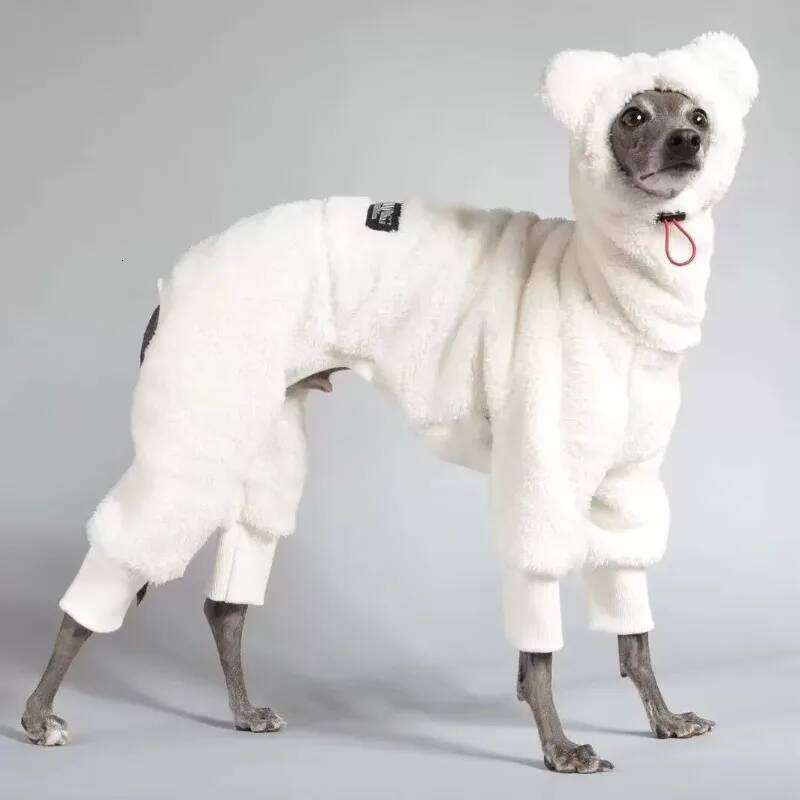 Famous brand Warm Fleece White Sweatshirt for Airless Terrier Soft legged High Neck Grey Clothing Whippet Bellington Winter Quad Thickened pupakaIK