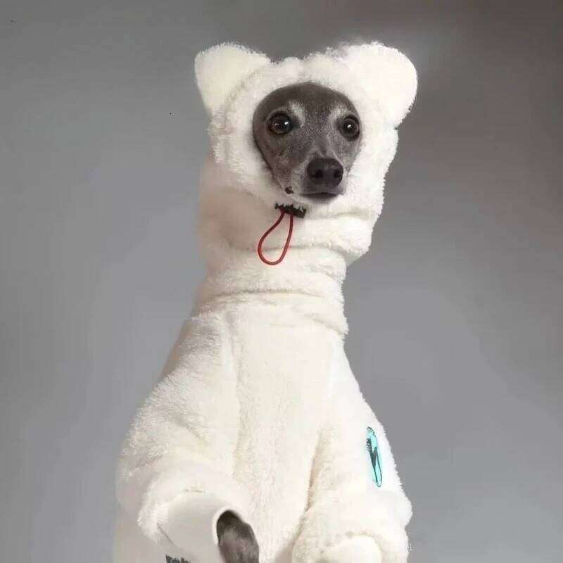 Famous brand Warm Fleece White Sweatshirt for Airless Terrier Soft legged High Neck Grey Clothing Whippet Bellington Winter Quad Thickened pupakaIK