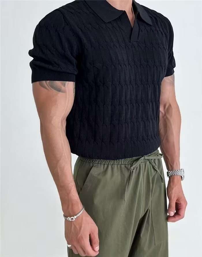 Summer T-shirt, sexy V-neck men's polo shirt, stretchy slim-fit, trendy business knitted short-sleeve