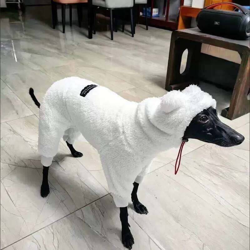 Famous brand Warm Fleece White Sweatshirt for Airless Terrier Soft legged High Neck Grey Clothing Whippet Bellington Winter Quad Thickened pupakaIK