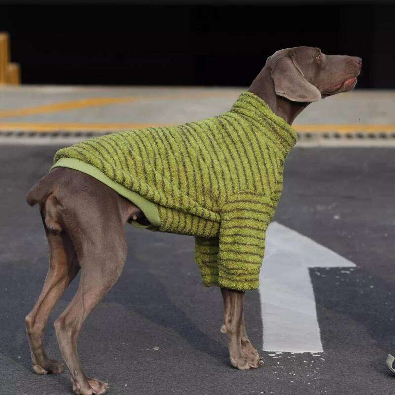 Famous brand Winter Hoodie Coat Big Clothes Border Collie Husky Samoyed Labrador Golden Retriever Weimaraner Dog Costume Pet Apparel pupakaIK