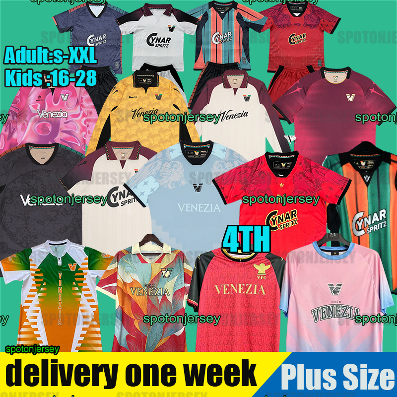 25 26 Venezia Soccer Trikot soccer Jerseys FC 2025 2026 Black jersey football shirt Jersey de Venezia goalkeeper maglie calcio third blue goalkeeper jersey