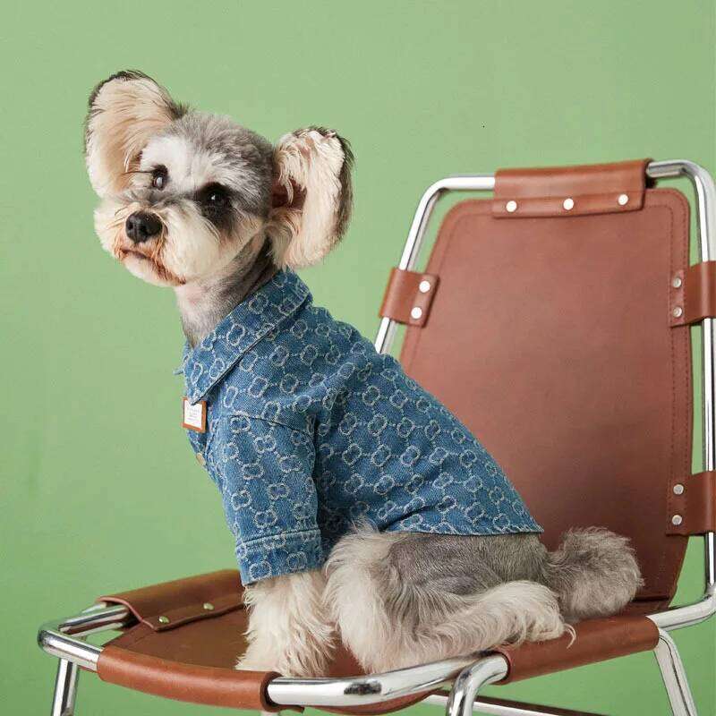 Suprepet Luxury Breathable Dog Shirts for French Bulldog Schnauzer Fashion Cool Puppy Clothes Ropa Para Perro