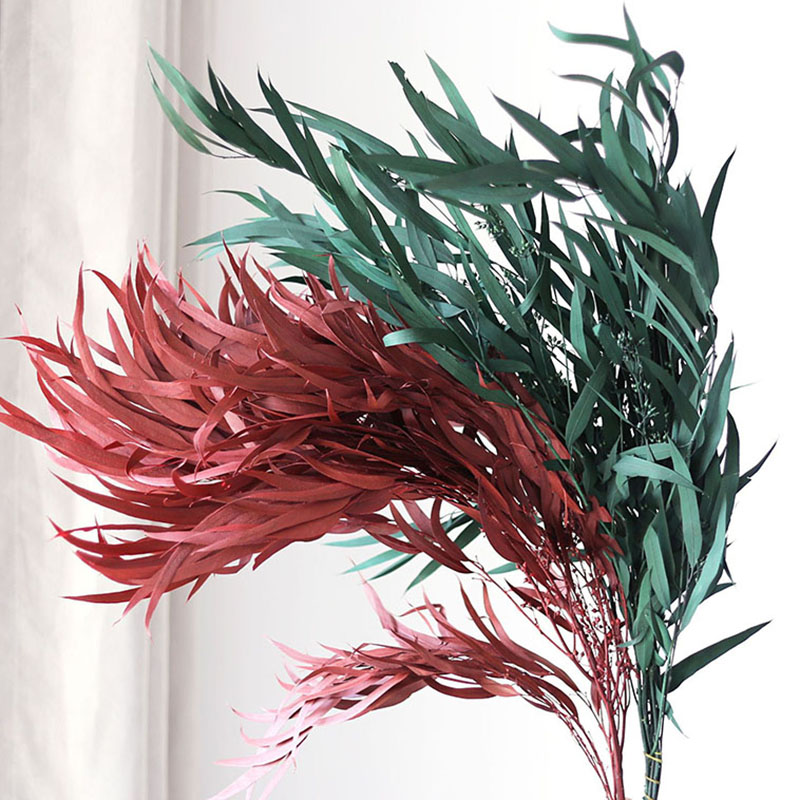 About 100g Preserved Willow Leaf Eucalyptus Real Greenery Evergreen Plant Office Home Party Wedding Vase Decoration Birthday Gifts Natural Long Lasting Flower