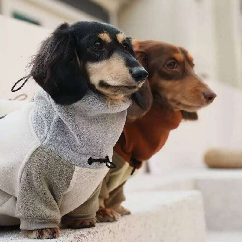Famous brand Fashion Thickened legged Dog Clothes Winter Soft Waxy Heating Antistatic Double sided Fleece Dachshund Cotton Home pupakaIK