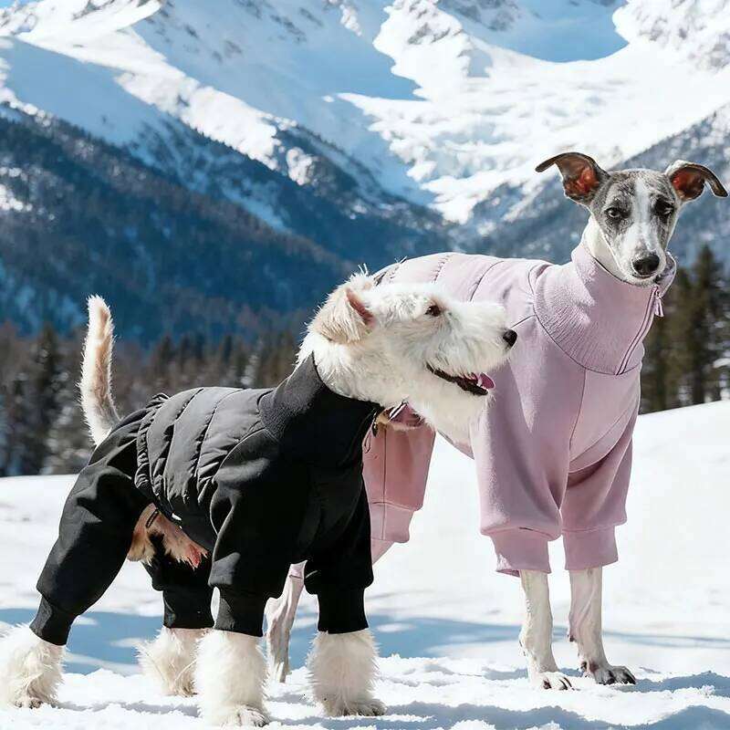 Famous brand Full Pack Cotton Jacket Outdoor Cold Proof Four Leg Sports Pet Autumn Winter Keep Warm Clothing For Dog pupakaIK