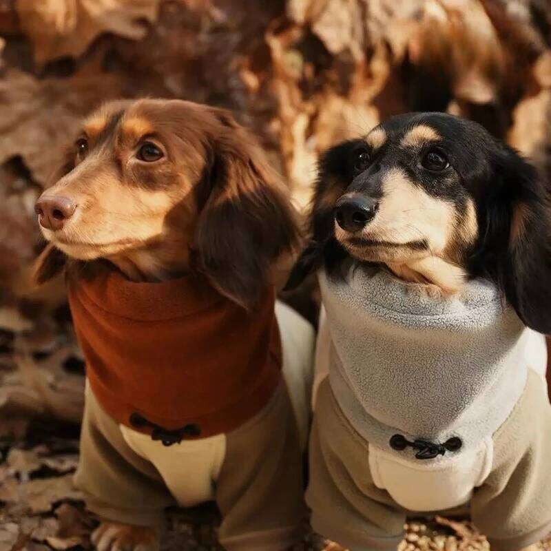Famous brand Fashion Thickened legged Dog Clothes Winter Soft Waxy Heating Antistatic Double sided Fleece Dachshund Cotton Home pupakaIK