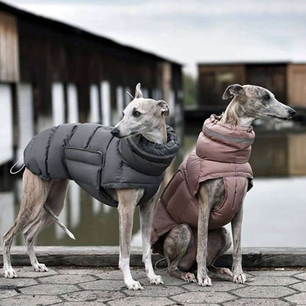 Famous brand Winter Dog Coat Waterproof Thermal Insulated Warm Jacket for Small Medium Large Dogs Windproof Pet Clothes pupakaIK