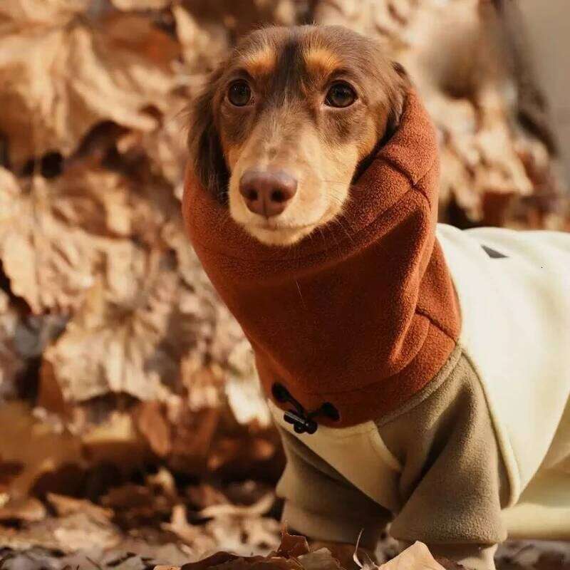 Famous brand Fashion Thickened legged Dog Clothes Winter Soft Waxy Heating Antistatic Double sided Fleece Dachshund Cotton Home pupakaIK