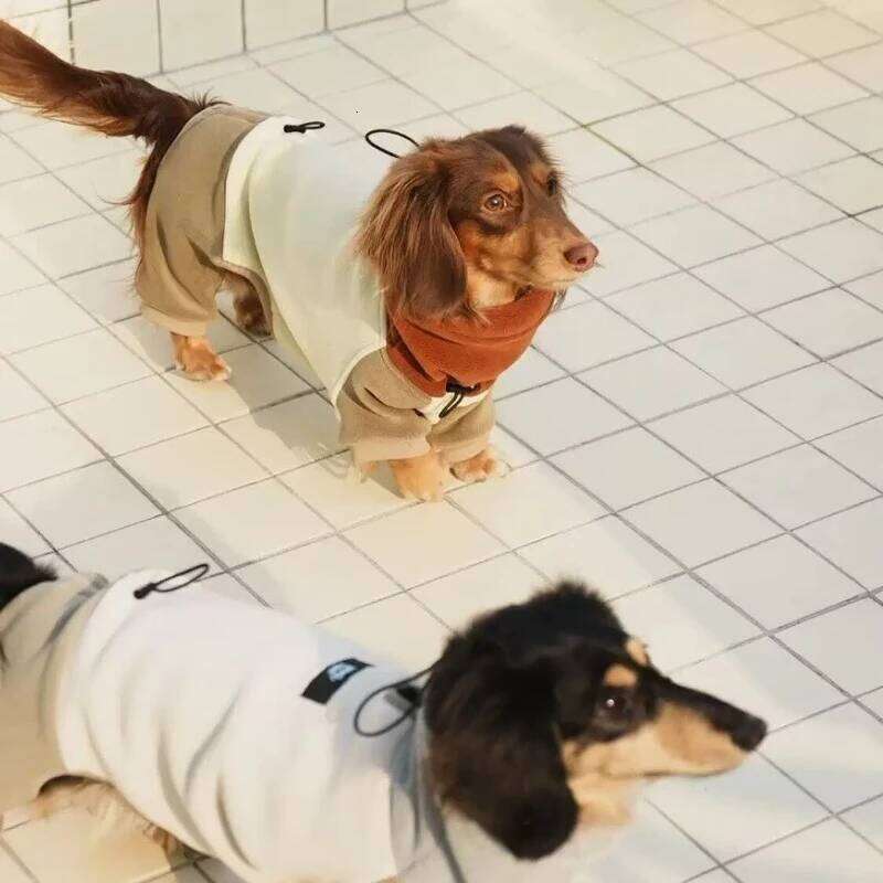 Famous brand Fashion Thickened legged Dog Clothes Winter Soft Waxy Heating Antistatic Double sided Fleece Dachshund Cotton Home pupakaIK