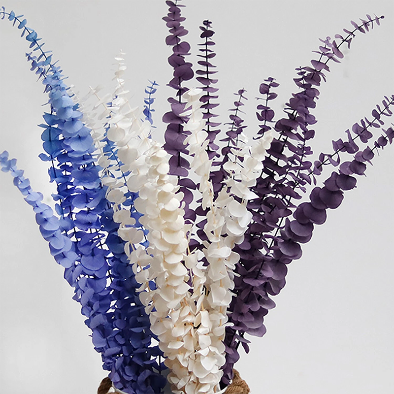 10 Stems Preserved Bleached Copper Coin Eucalyptus Leaves Home Farmhouse DIY Spring Decor Birthday Gifts Natural Forever Flowers DIY Floral Arrangement
