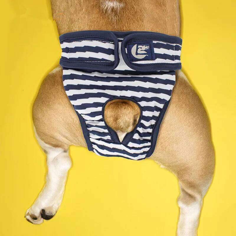 Famous brand PC Lot Female Washable Shorts Underwear Striped Cotton Dog Physiological Pants Sanitary Panties Pet Clothes pupakaIK