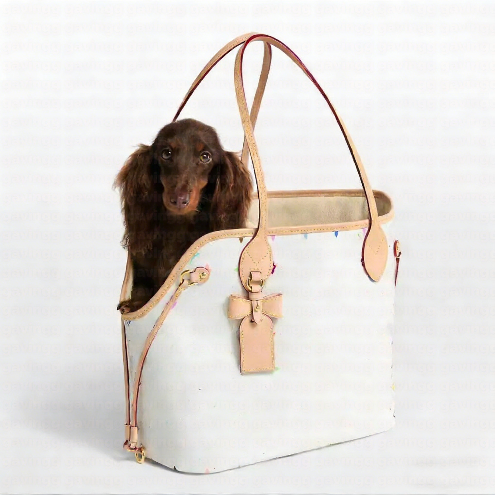 Pet Carrier Bag Designer Luxury Puppy Kitten Suitcase Luxury Genuine Leather Functional Tote Bag Classic Brand Cat And Dog Tote Bags Large Capacity Pet Travel Bag