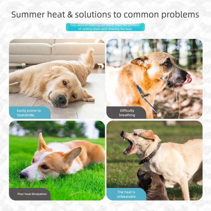 Famous brand New Year the Dragon cross border dog clothing summer suitable for medium and large dogs made of ice silk breathable pet cooling vest pupa