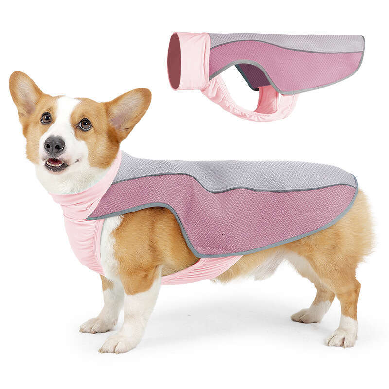 Famous brand New Year the Dragon cross border dog clothing summer suitable for medium and large dogs made of ice silk breathable pet cooling vest pupa