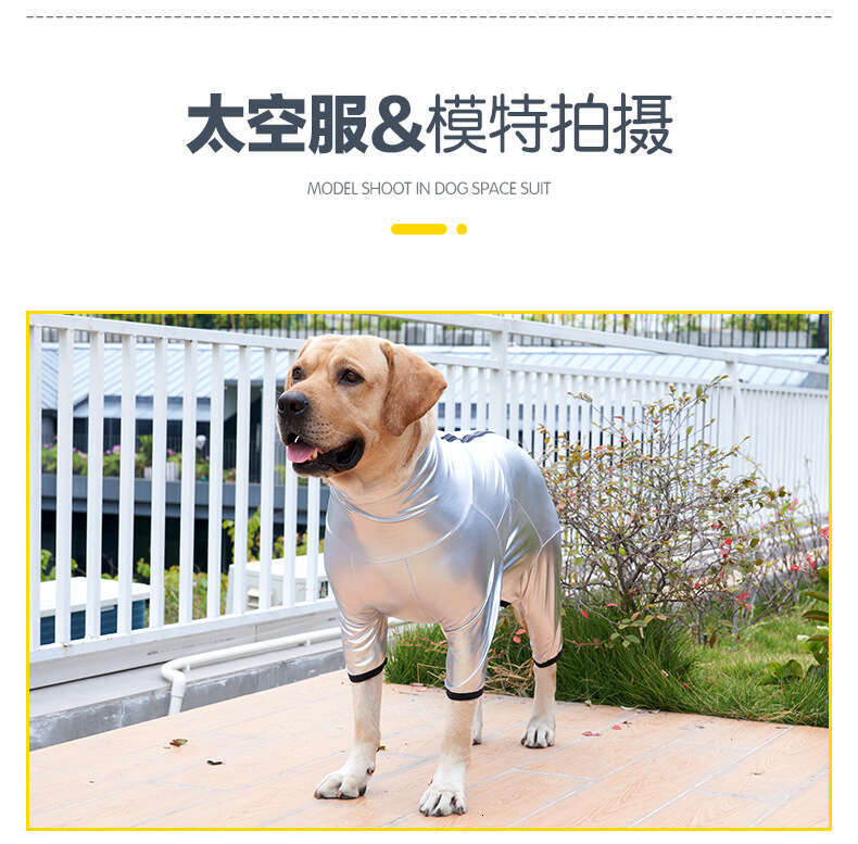 Famous brand Cross border pet clothing dog jacket fashionable space suit waterproof windproof four legged for medium and large dogs pupakaIK