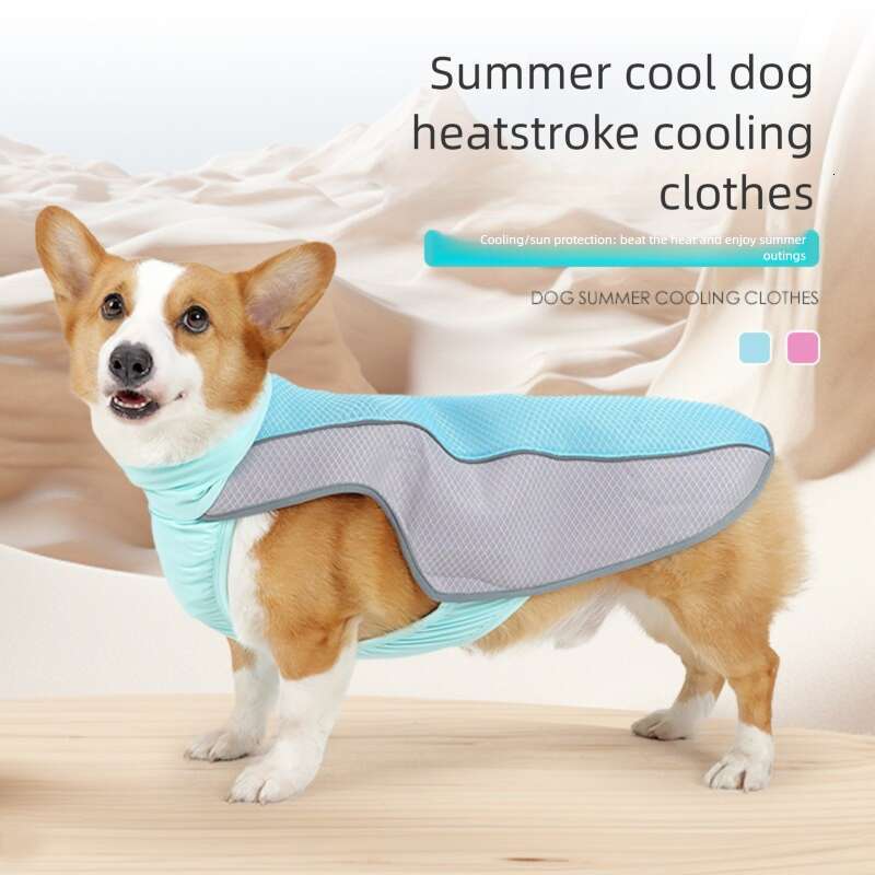 Famous brand New Year the Dragon cross border dog clothing summer suitable for medium and large dogs made of ice silk breathable pet cooling vest pupa