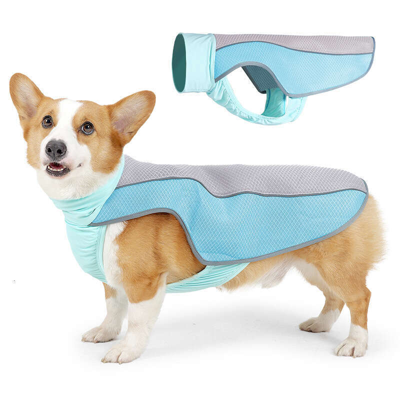 Famous brand New Year the Dragon cross border dog clothing summer suitable for medium and large dogs made of ice silk breathable pet cooling vest pupa