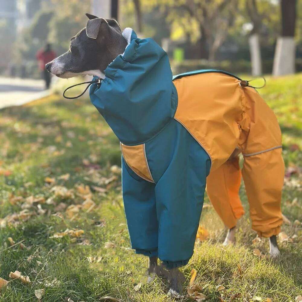 Famous brand Mid Dog Clothes in Winter legged Plush Blue Yellow Jacket Windproof Waterproof Zipper Coat Warm RainCoat for Italian Greyhound pupakaIK