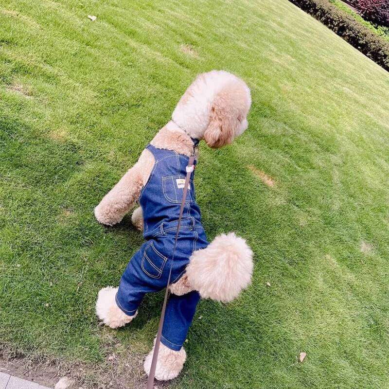 Famous brand Large Jumpsuit Shiba Inu Border Collie Samoyed Husky Labrador Golden Retriever Clothing Giant Poodle Dog Clothes Pet Apparel pupakaIK