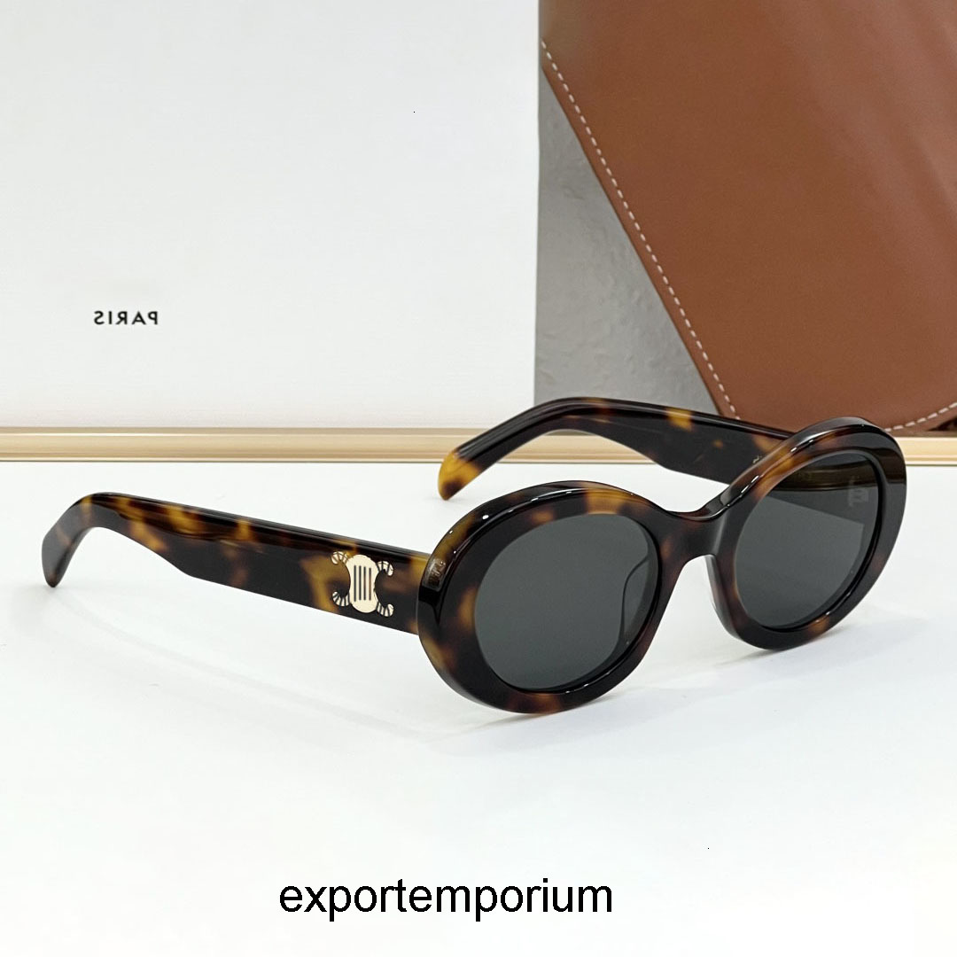 y2k sunglasses high quality cl40194U black sunglasses womens Arc de Triomphes CL40235 Oval g celinesunglasses celinelies celiine celinity celeineism Celins T3PR