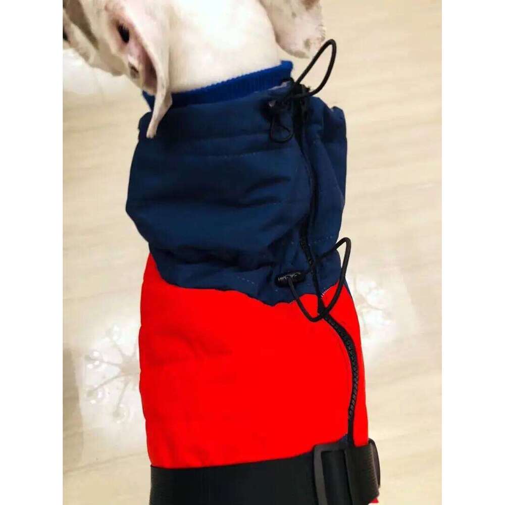 Famous brand Winter Thickened Pirate Warm Greyhound Cotton Padded Coat Medium Large Italian Sighthound Dog Clothes pupakaIK