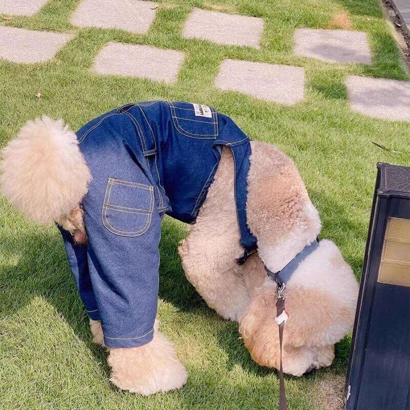 Famous brand Large Jumpsuit Shiba Inu Border Collie Samoyed Husky Labrador Golden Retriever Clothing Giant Poodle Dog Clothes Pet Apparel pupakaIK