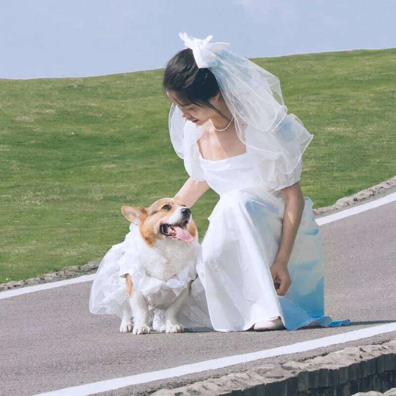 Famous brand Summer Wedding Dress Poodle Bichon Schnauzer Corgi Shiba Inu Husky Labrador Golden Retriever Clothes Big Large Dog Clothing pupakaIK