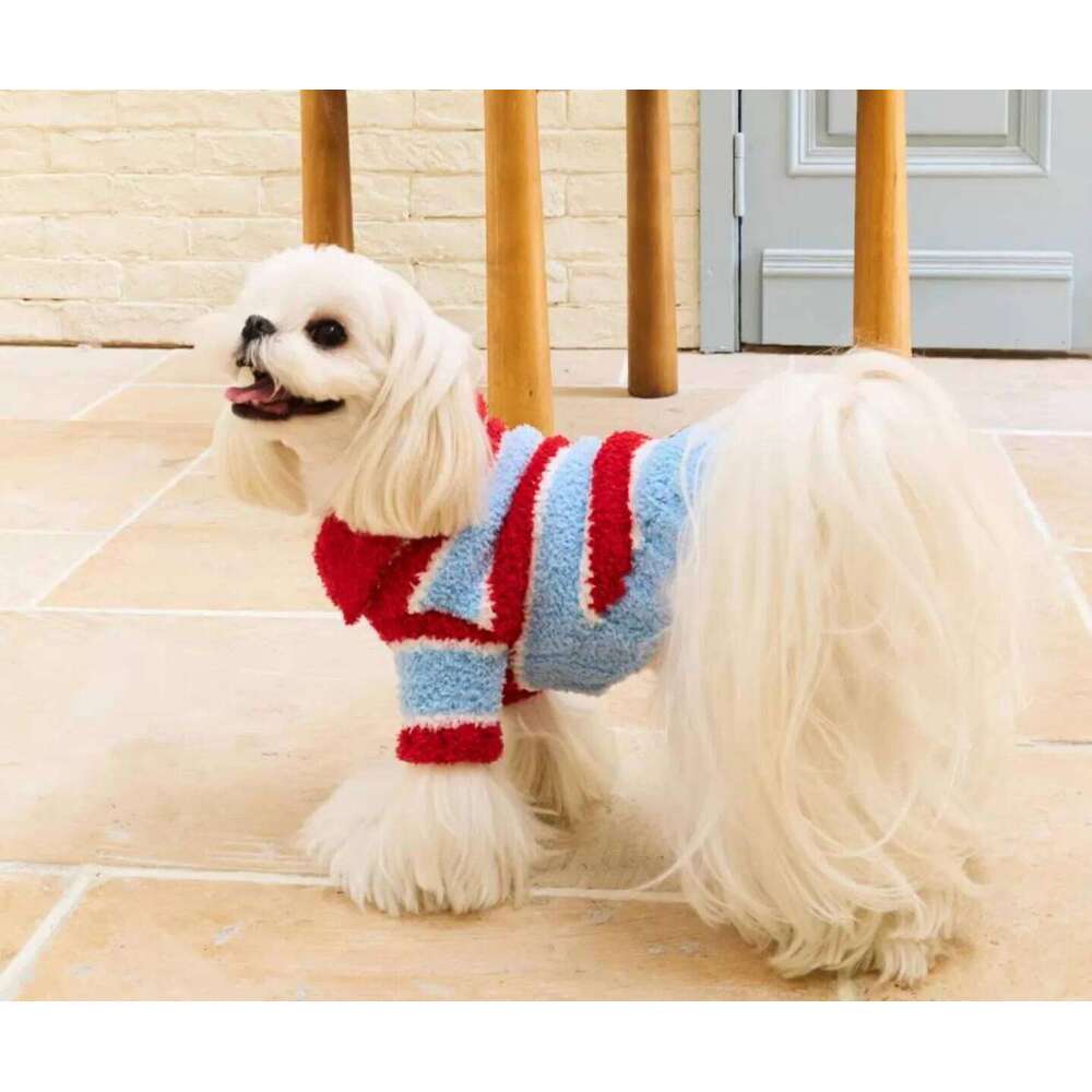 Famous brand Autumn and Winter Pet Dot Little Flower Sweater Comfortable Warm Dog Teddy Cat Clothing Puppy Clothes for Small Dogs pupakaIK