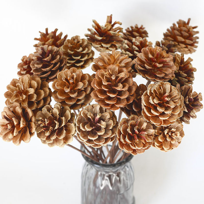 Real Dried Pinecone Flowers in Bulk Dried Flower Bouquets for Table Modern Home Coffee Table Office Decoration Rustic Real Plant for Vase Filler Farmhouse