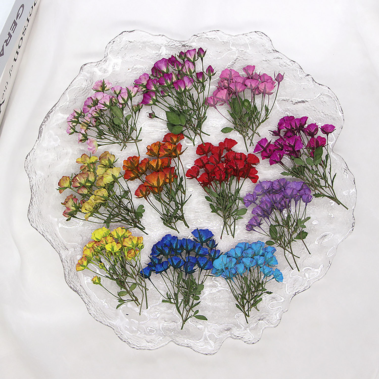 48PCS 5-8cm Pressed Multiple Head Roses Real Flower for DIY Wedding Card Resin Dried Flowers for Art Crafts Epoxy Jewelry Home Party Indoor Decor Plant Herbarium