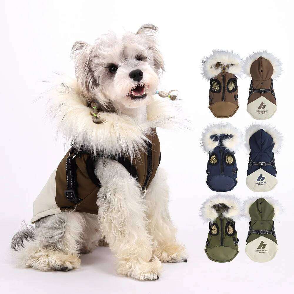 Famous brand Autumn and winter new clothes outdoor puppy hooded fleece cold proof jacket pet dog teddy bear vest pupakaIK