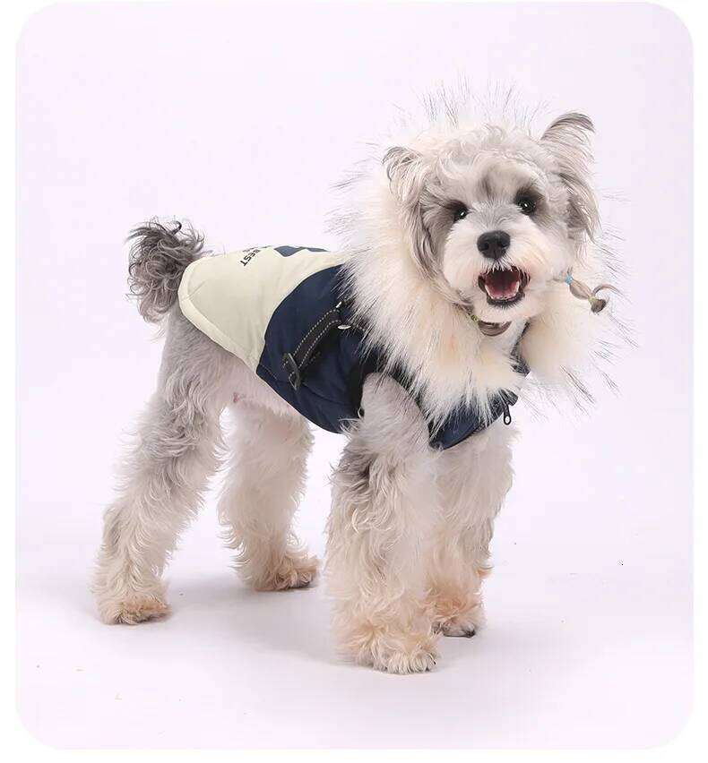 Famous brand Autumn and winter new clothes outdoor puppy hooded fleece cold proof jacket pet dog teddy bear vest pupakaIK
