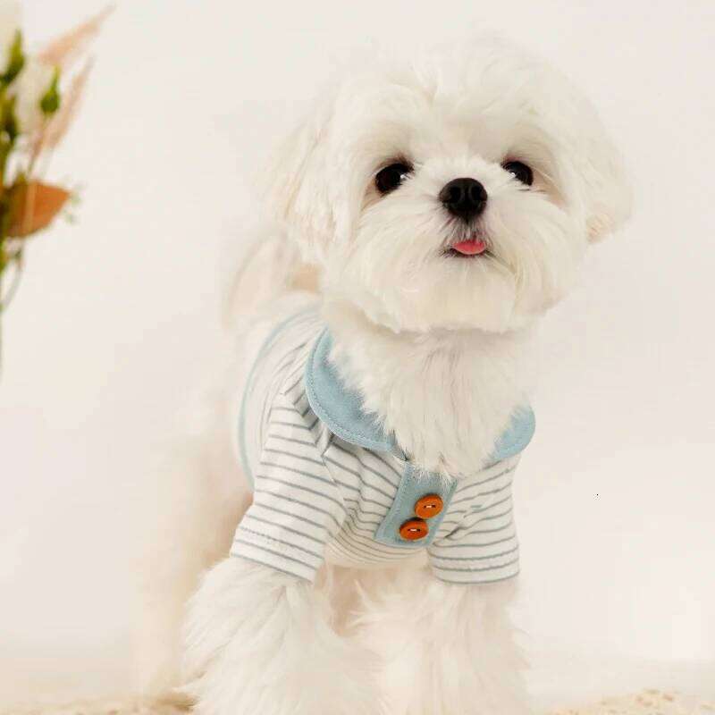 Famous brand Summer Striped Pet Shirt Cotton Breathable Casual Fashion Vest Comfortable Dog Soft White Blue Collar pupakaIK