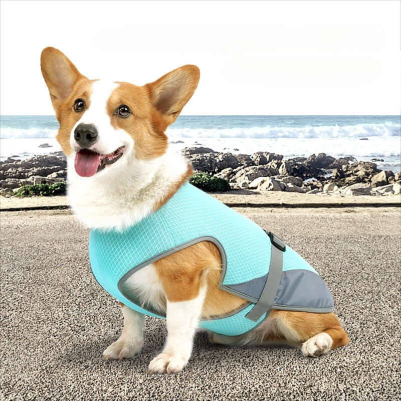 Famous brand cross-border pet supplies summer dog cooling clothes, pet cooling vests, lightweight and breathable dog clothes in stock pupakaIK