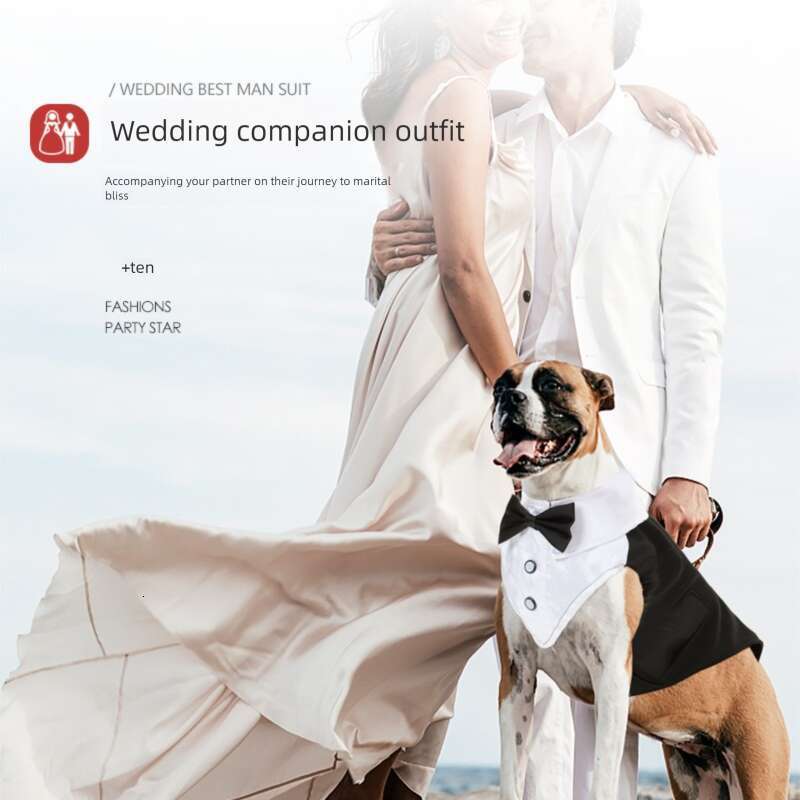 Famous brand cross-border dog suit summer thin pet clothes dog dress up gentleman's clothing handsome shirt dog clothes pupakaIK