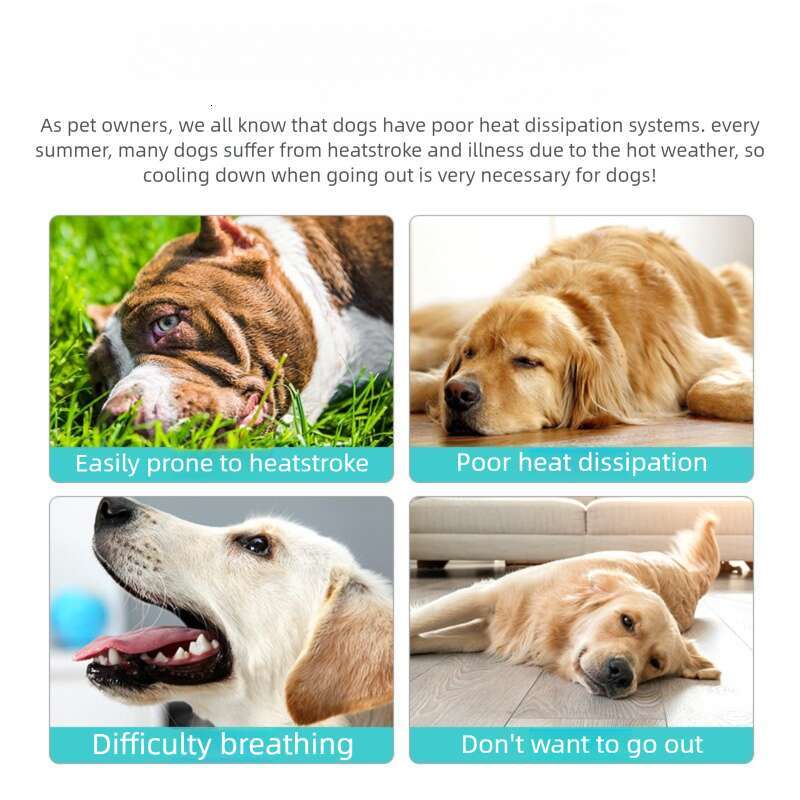 Famous brand cross-border pet supplies summer dog cooling clothes, pet cooling vests, lightweight and breathable dog clothes in stock pupakaIK